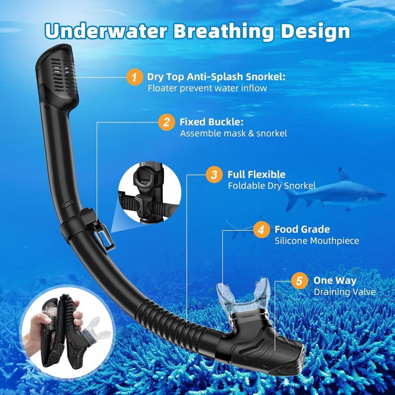 Honlanor Snorkel Set Adults Snorkeling Gear Anti-Leak and Anti-Fog Tempered Glass Lens Panoramic View Swim Mask Dry Top Snorkel Kit for Snorkeling Scuba Diving Swimming Travel with Carry Bag - Image 5